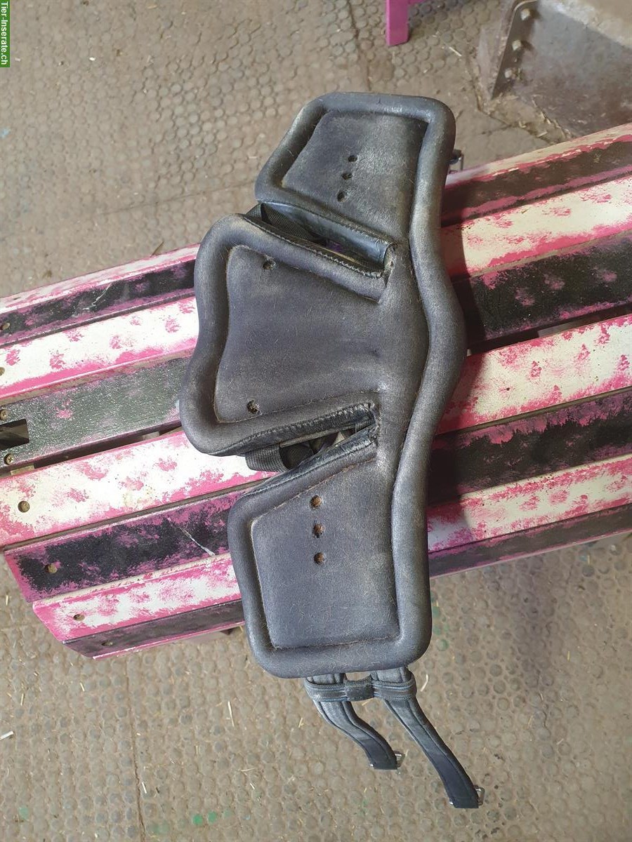 Bild 2: Stübben Equi-Soft und diverse Schabracken