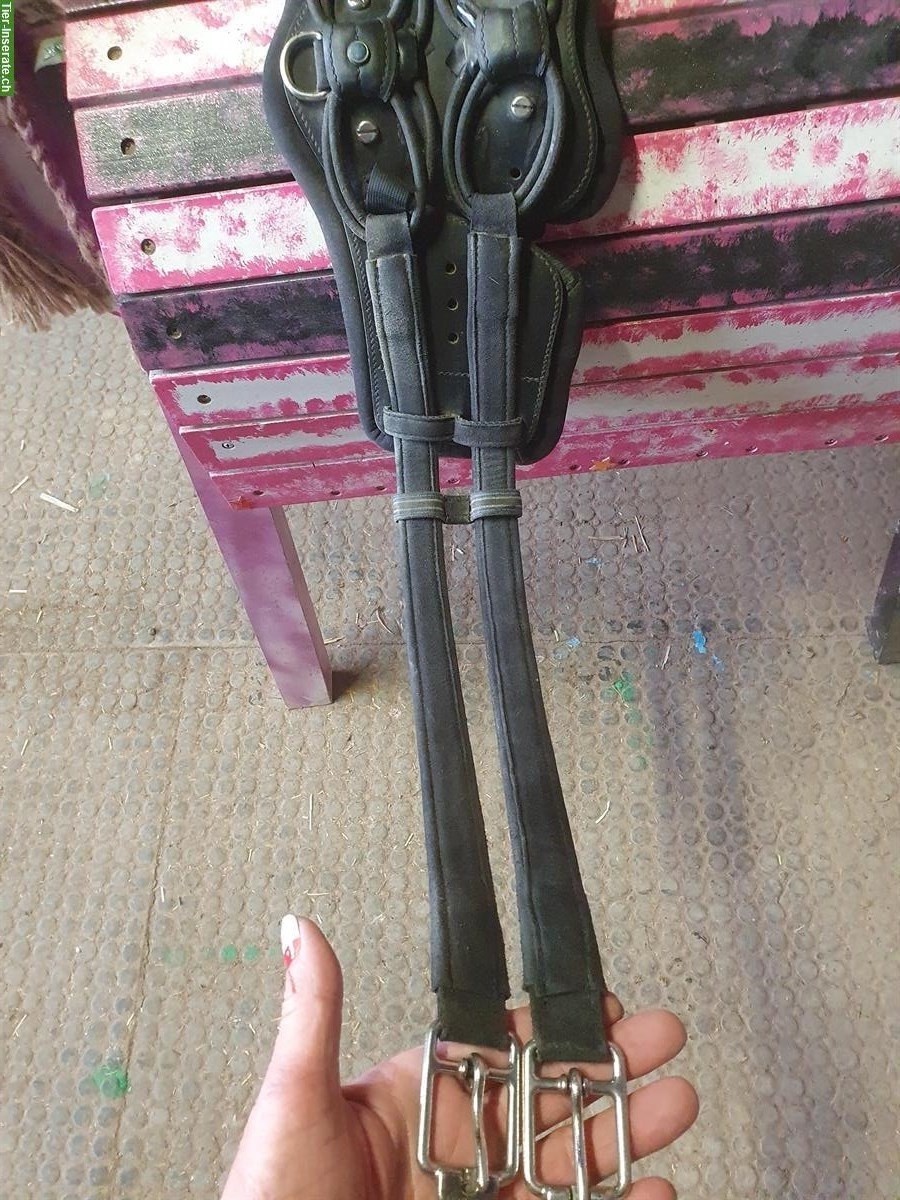 Bild 3: Stübben Equi-Soft und diverse Schabracken