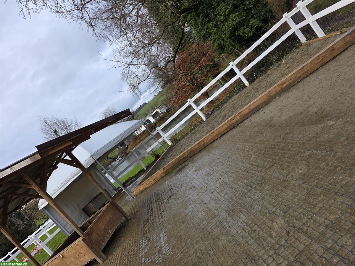 Bild 3: Offenstallplatz in 8512 Lustdorf TG, ab Frühling 2026