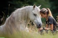 Praxisausbildung zum zertifizierten pferdegestützten ISB-Coach
