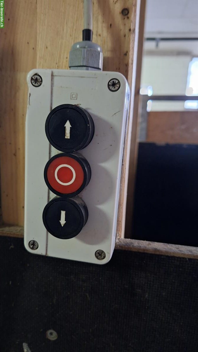 Bild 4: Pferde Heu-Fütterungsautomaten zu verkaufen