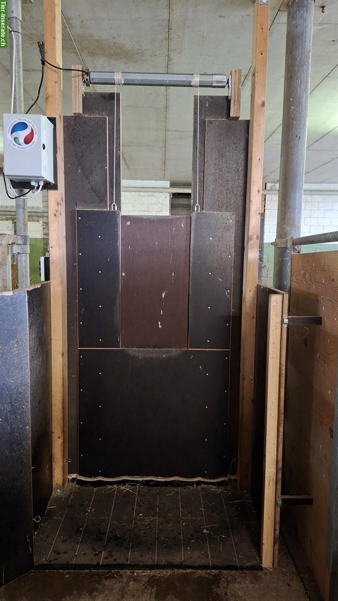 Bild 5: Pferde Heu-Fütterungsautomaten zu verkaufen