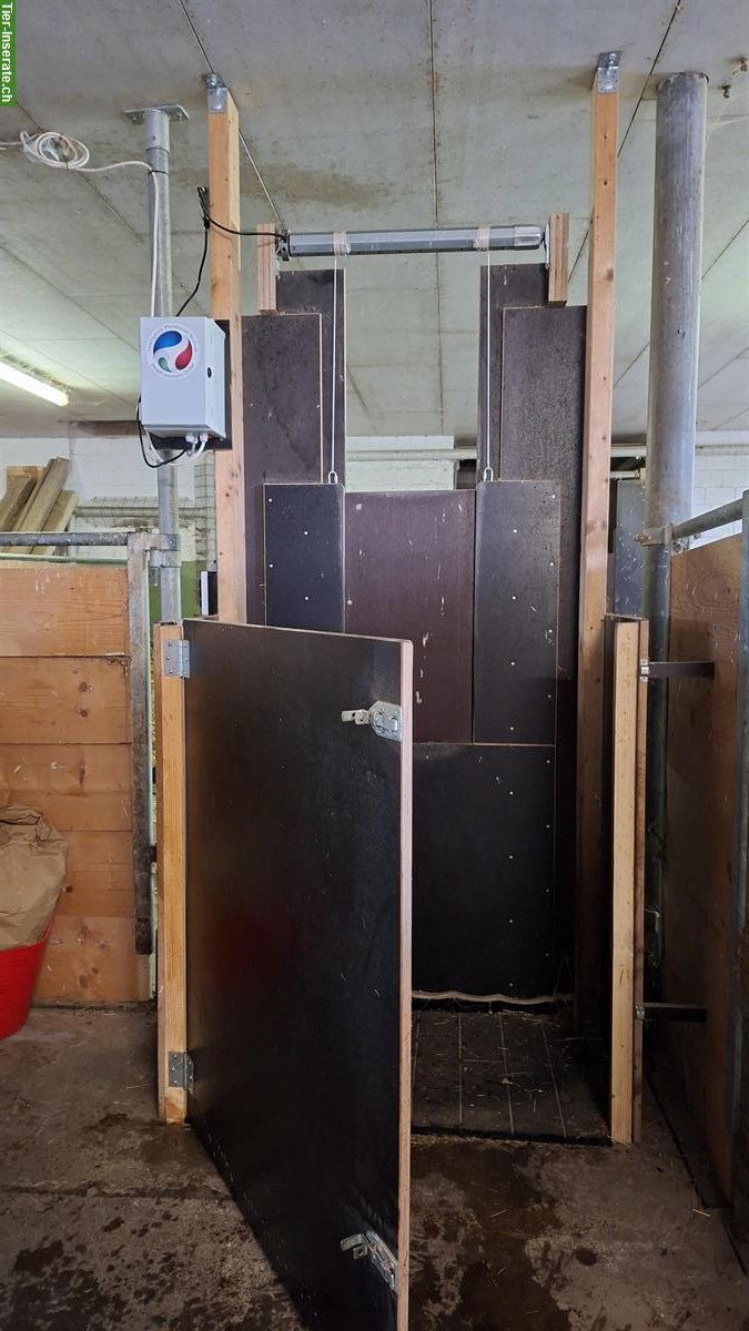 Bild 6: Pferde Heu-Fütterungsautomaten zu verkaufen