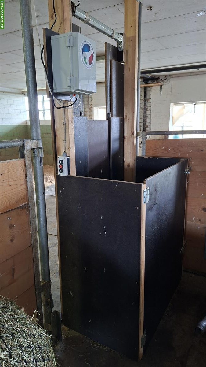 Bild 8: Pferde Heu-Fütterungsautomaten zu verkaufen