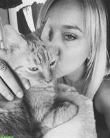 Katzenbetreuung Regensdorf über Festtage