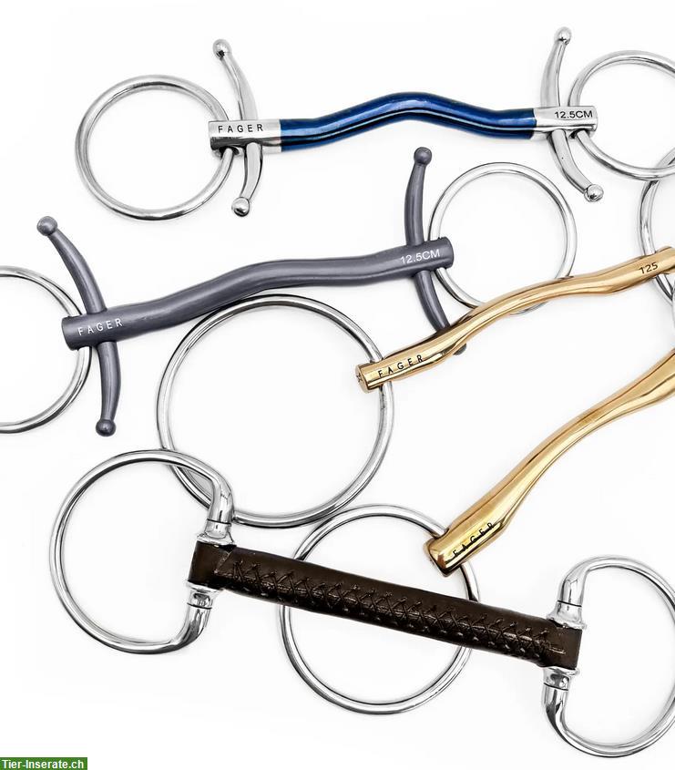 Umfangreicher Pferdegebiss-Testservice