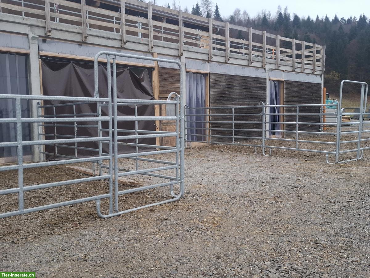 Bild 3: Pferdeboxe mit Auslauf in Oberdiessbach BE zu vermieten ab Januar 2026