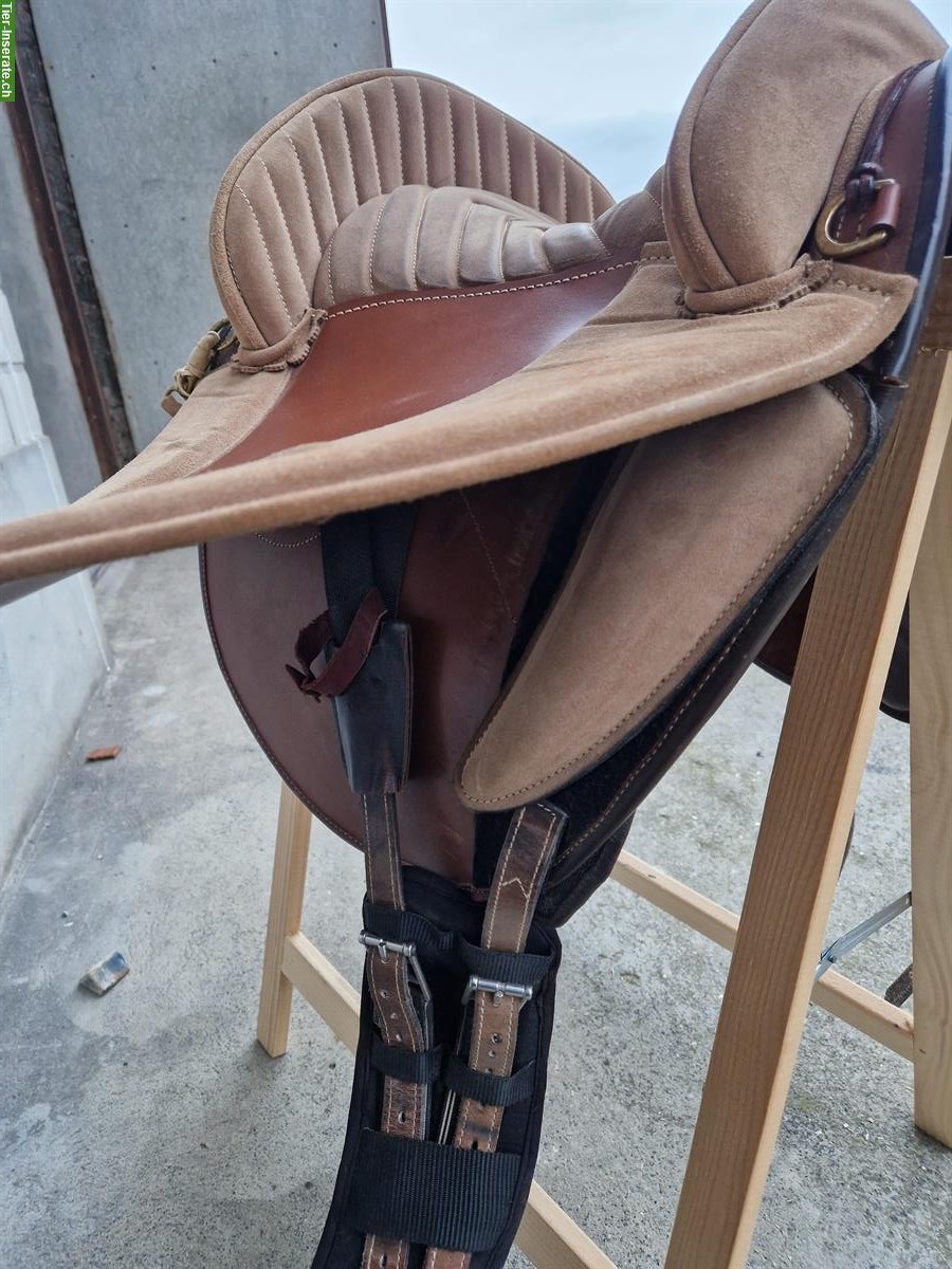 Bild 5: Hidalgo Sattel mit Lederbaum, verstellbaren Pauschen, top gepflegt