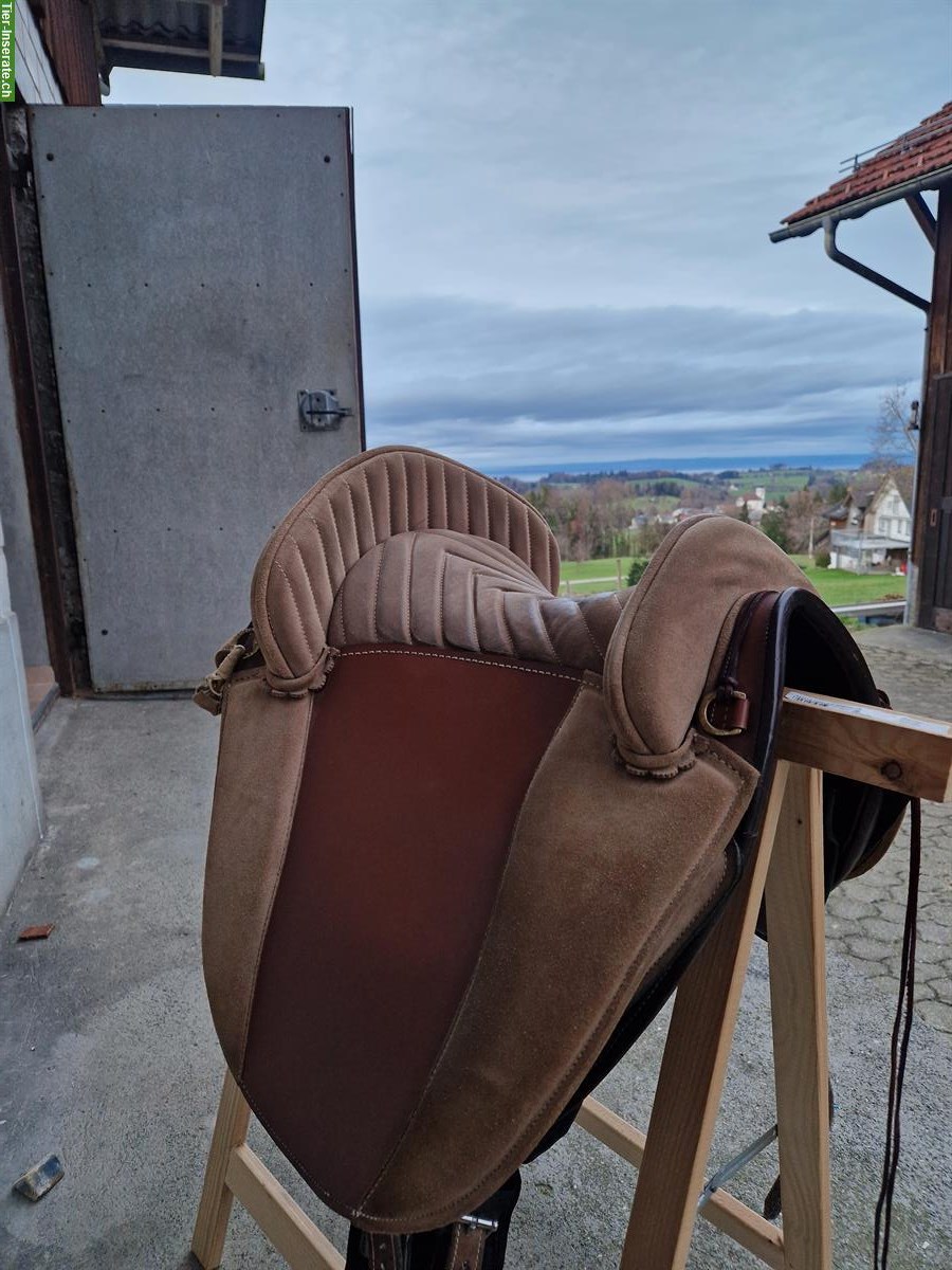 Bild 6: Hidalgo Sattel mit Lederbaum, verstellbaren Pauschen, top gepflegt