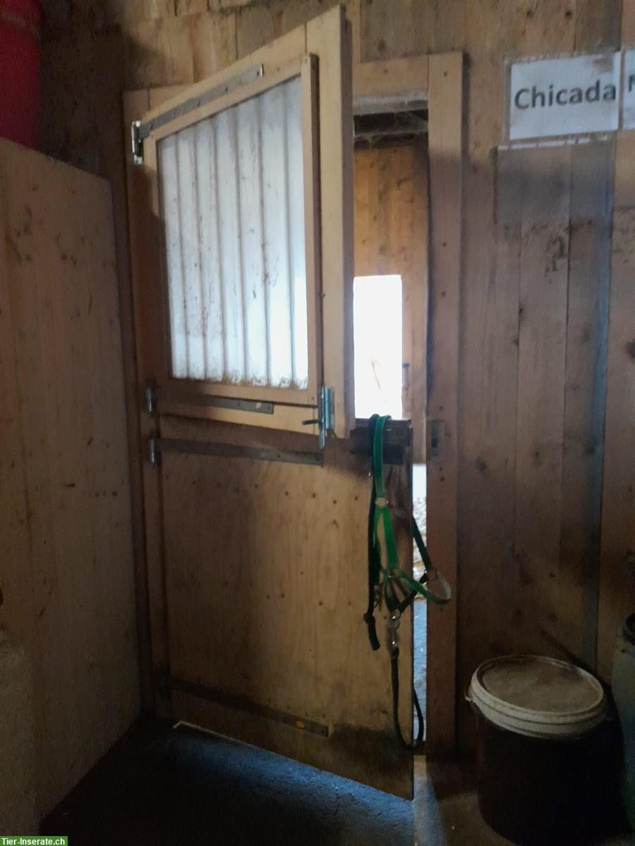 Bild 2: Boxentüren, Weidepfähle + Futtertonnen zu verkaufen