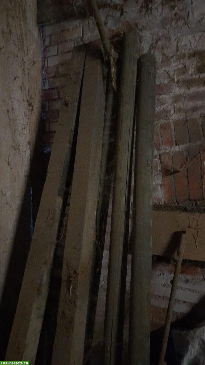 Bild 5: Boxentüren, Weidepfähle + Futtertonnen zu verkaufen