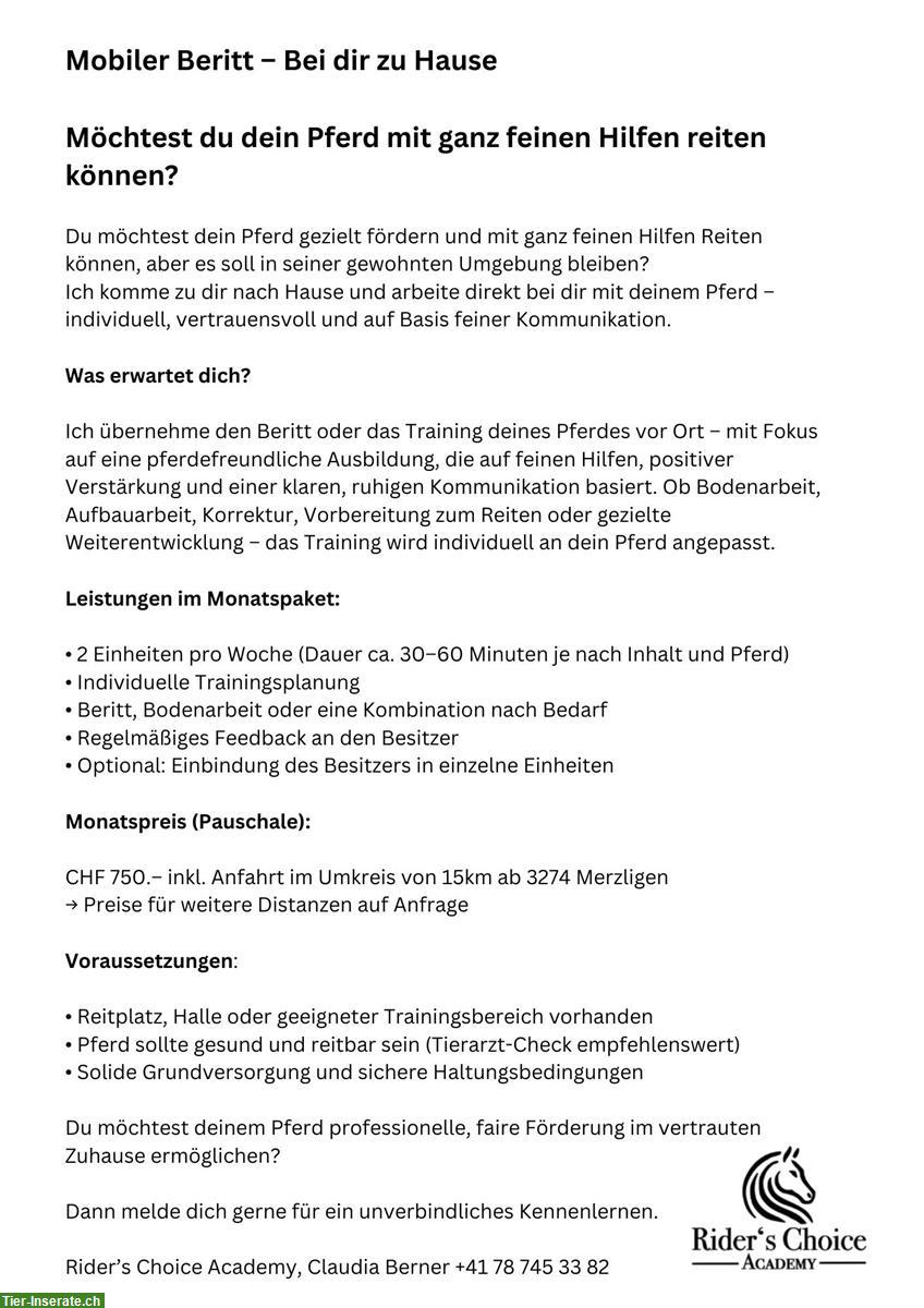 Mobiler Beritt & Pferdetraining vor Ort im Umkreis Merzligen BE