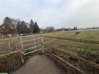 Auslaufboxen in Zielebach BE mit Ganzjahresweiden