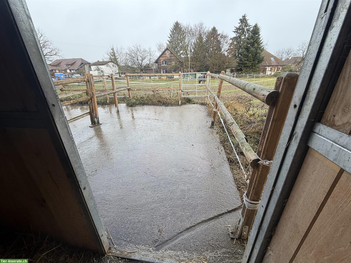 Bild 3: Auslaufboxen in Zielebach BE mit Ganzjahresweiden