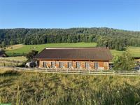 Reha-Plätze für Pferde & Ponys mit professioneller Betreuung