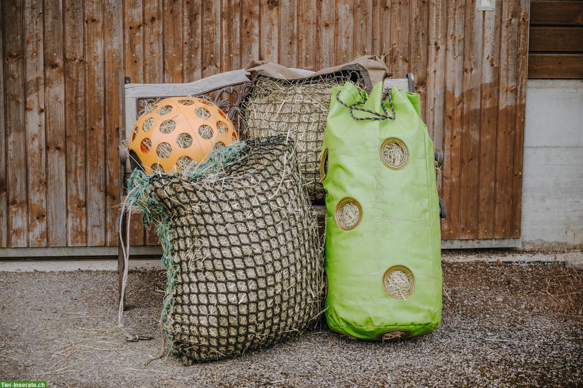 Bild 6: Reha-Plätze für Pferde & Ponys mit professioneller Betreuung