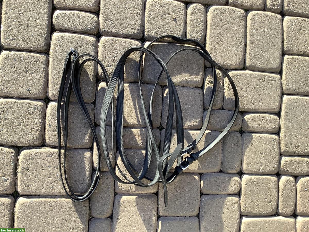 Showmaster Langzügel 6m, neu