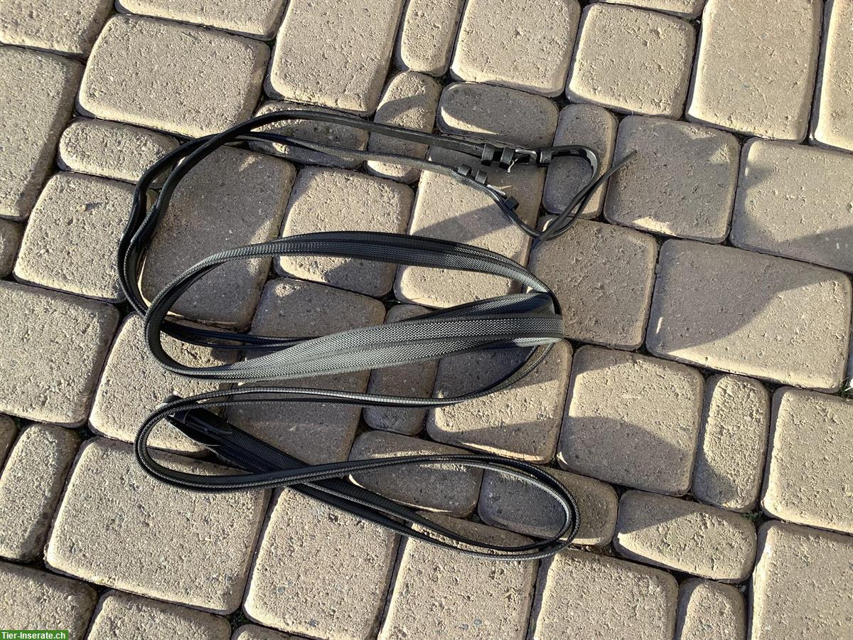 Bild 3: Showmaster Langzügel 6m, neu