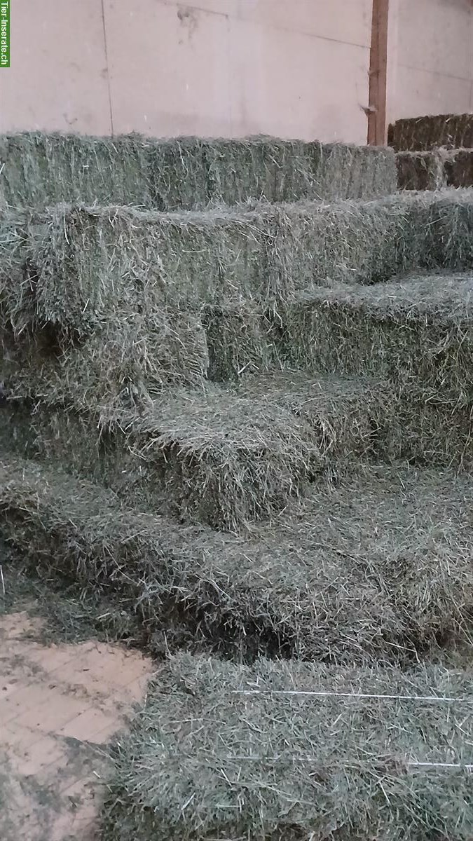 Heu & Emd in Kleinballen ab Hof, Buch am Irchel ZH