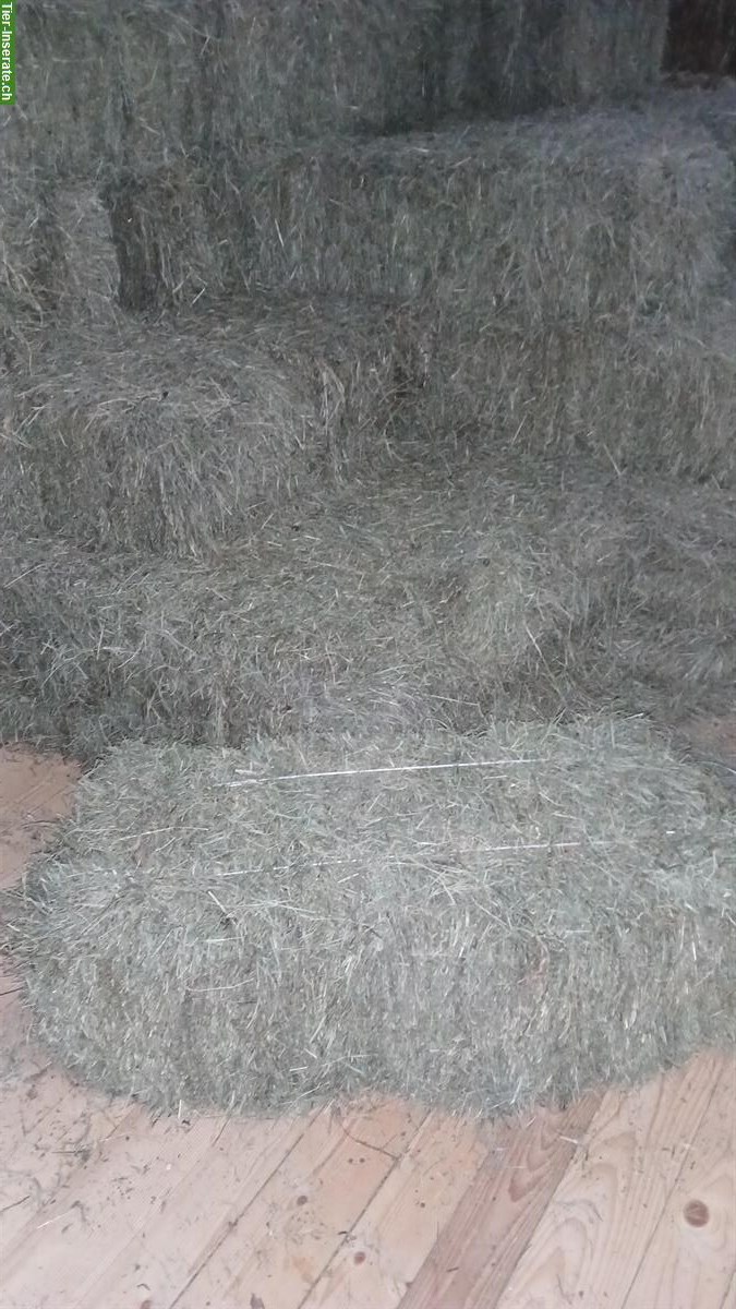 Bild 2: Heu & Emd in Kleinballen ab Hof, Buch am Irchel ZH