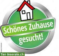 Suchen Haus / Wohnung & Arbeit, ganze Schweiz, Österreich