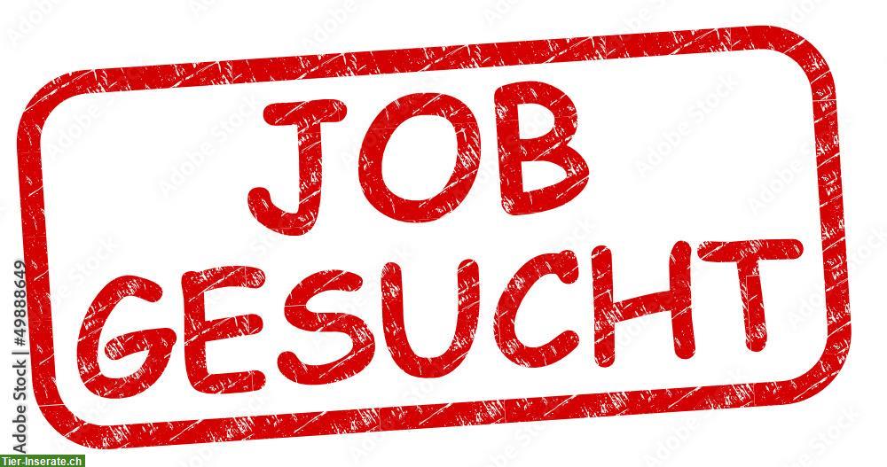 Bild 2: Suchen Haus / Wohnung & Arbeit, ganze Schweiz, Österreich