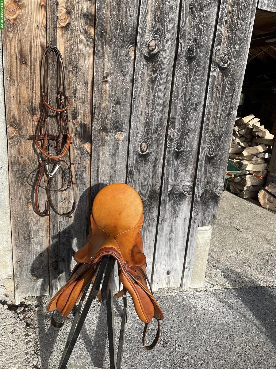 Bild 5: Stübben Sattel Roxane, Honig