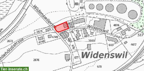 Bild 2: Charmantes Einfamilienhaus mit grossem Garten zu verkaufen