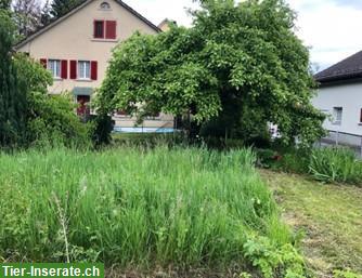 Bild 3: Charmantes Einfamilienhaus mit grossem Garten zu verkaufen