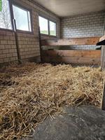 Pferde-Pensionsplatz in Frieswil BE mit Weidezugang & Reitplatz