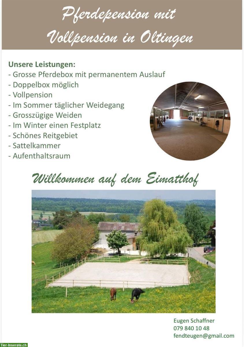 Pferdepension: Grosse Auslaufboxen in Oltingen BL