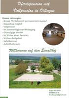 Pferdepension: Grosse Auslaufboxen in Oltingen BL