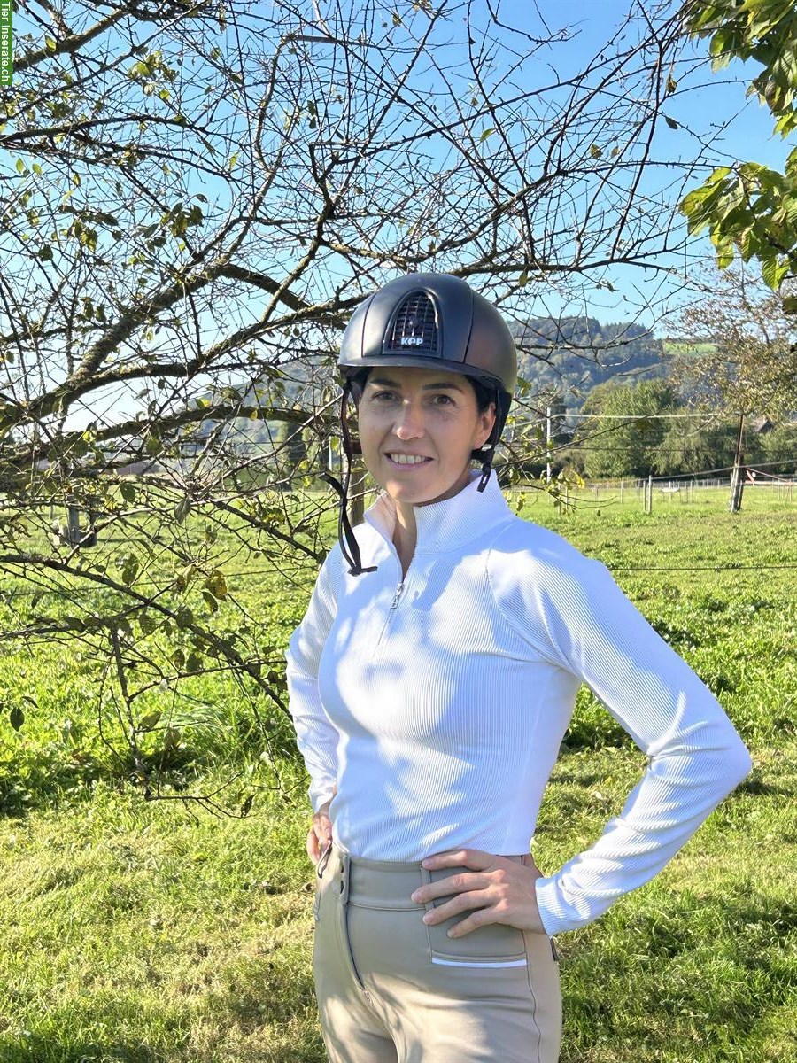 Bild 4: Ferienplätze für Pferde in Pfungen ZH