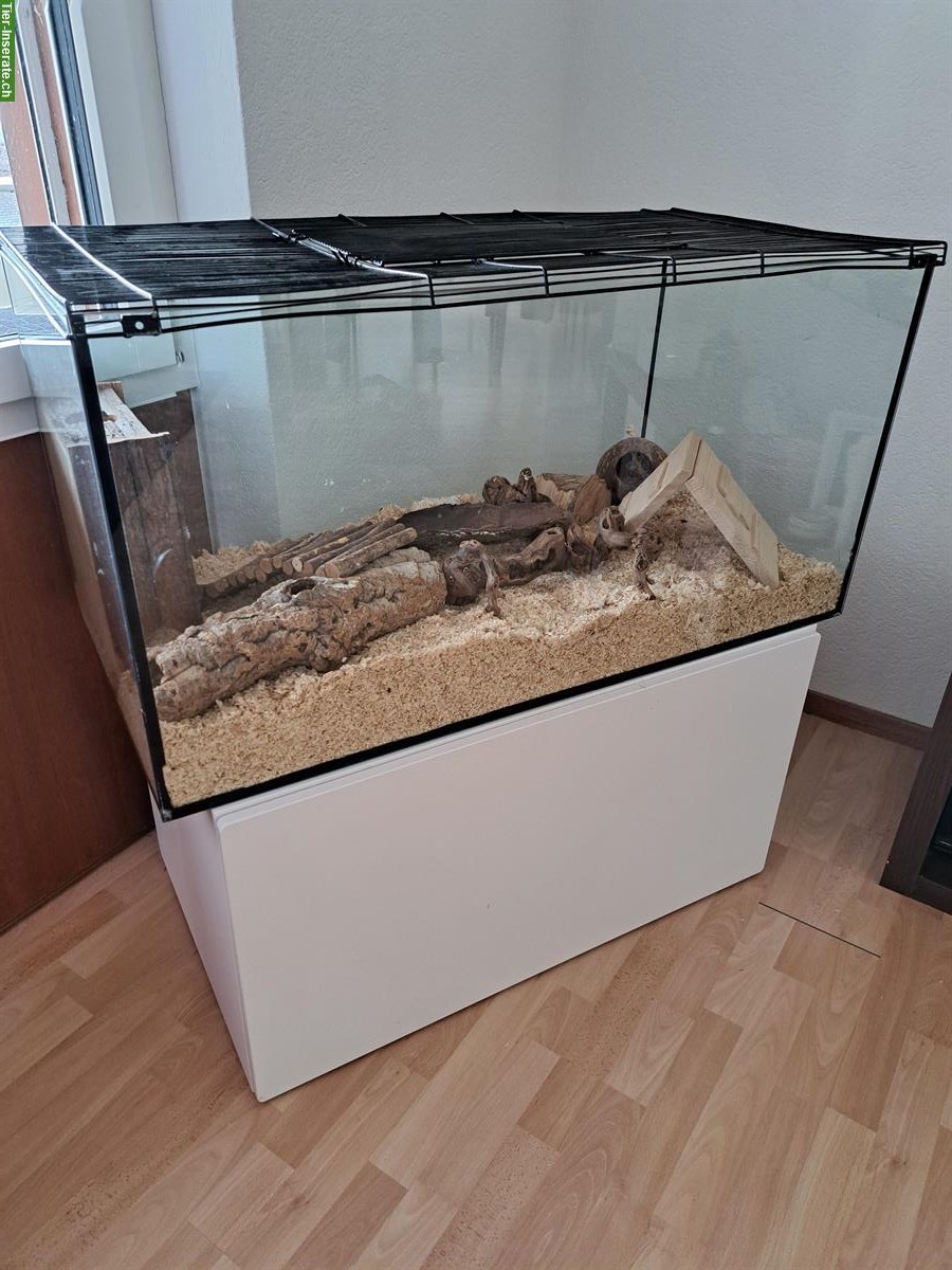 Hamster Terrarium mit Zubehör und Schubladenschrank