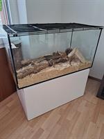 Hamster Terrarium mit Zubehör und Schubladenschrank