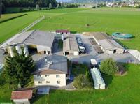 Einzelauslaufboxen in Holziken zu vermieten