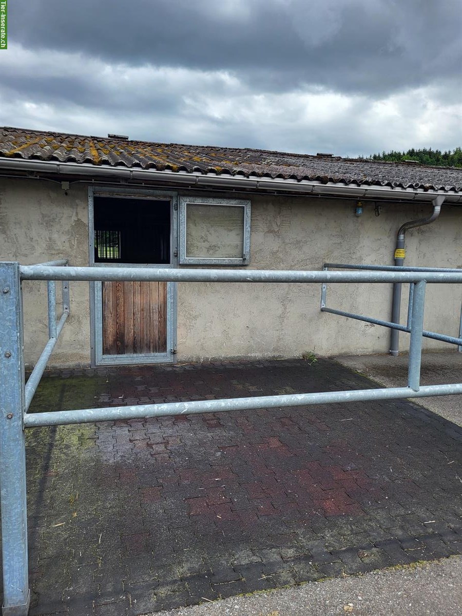 Bild 3: Einzelauslaufboxen in Holziken zu vermieten