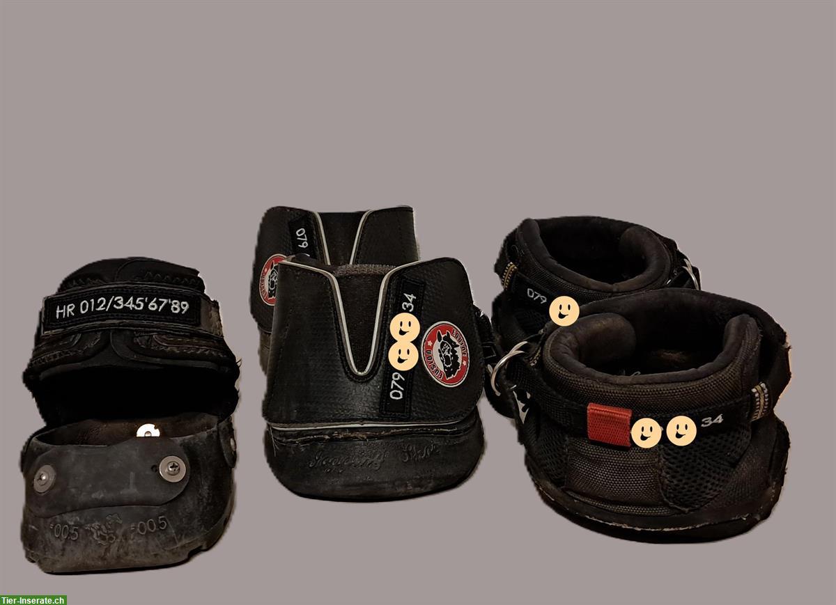 Stickerei-Abzeichen "MINI", Hufschuhbeschriftung mit Telefon-Nr.