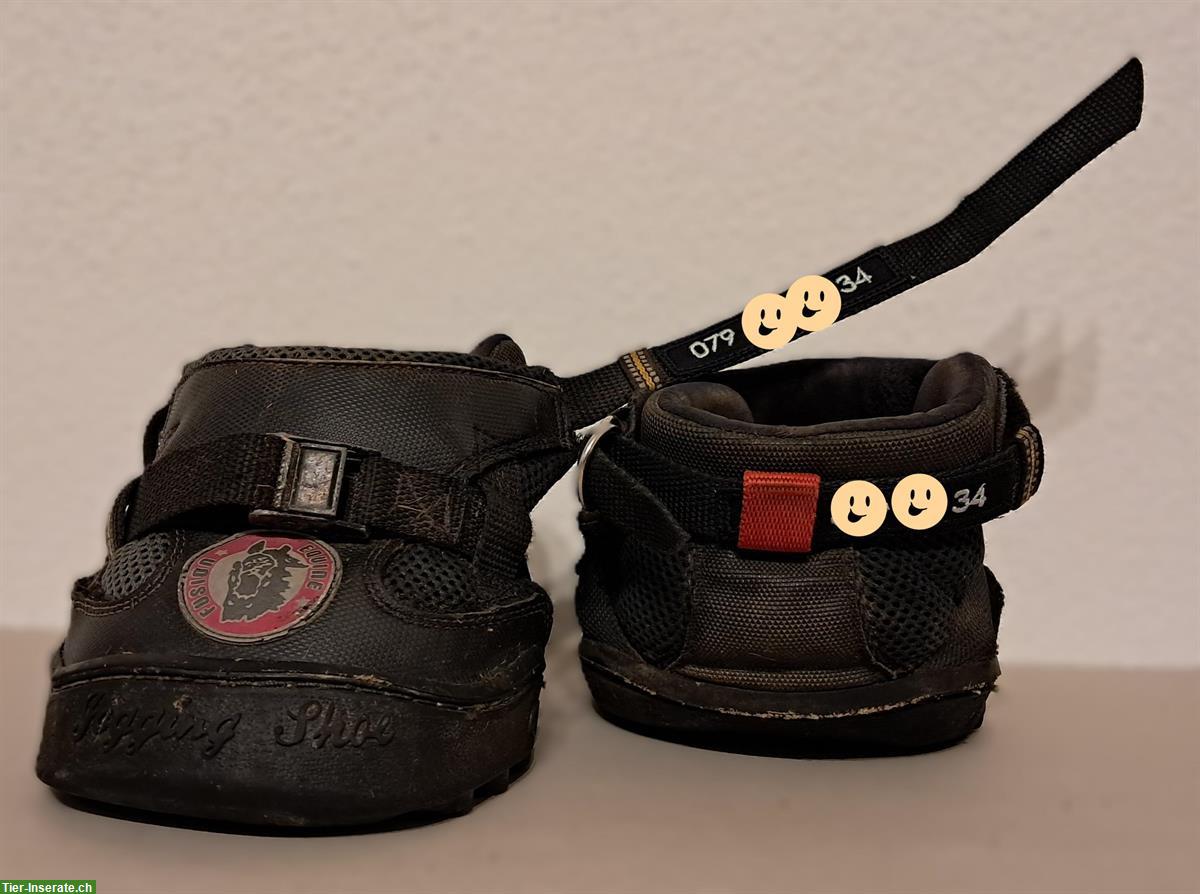 Bild 4: Stickerei-Abzeichen "MINI", Hufschuhbeschriftung mit Telefon-Nr.