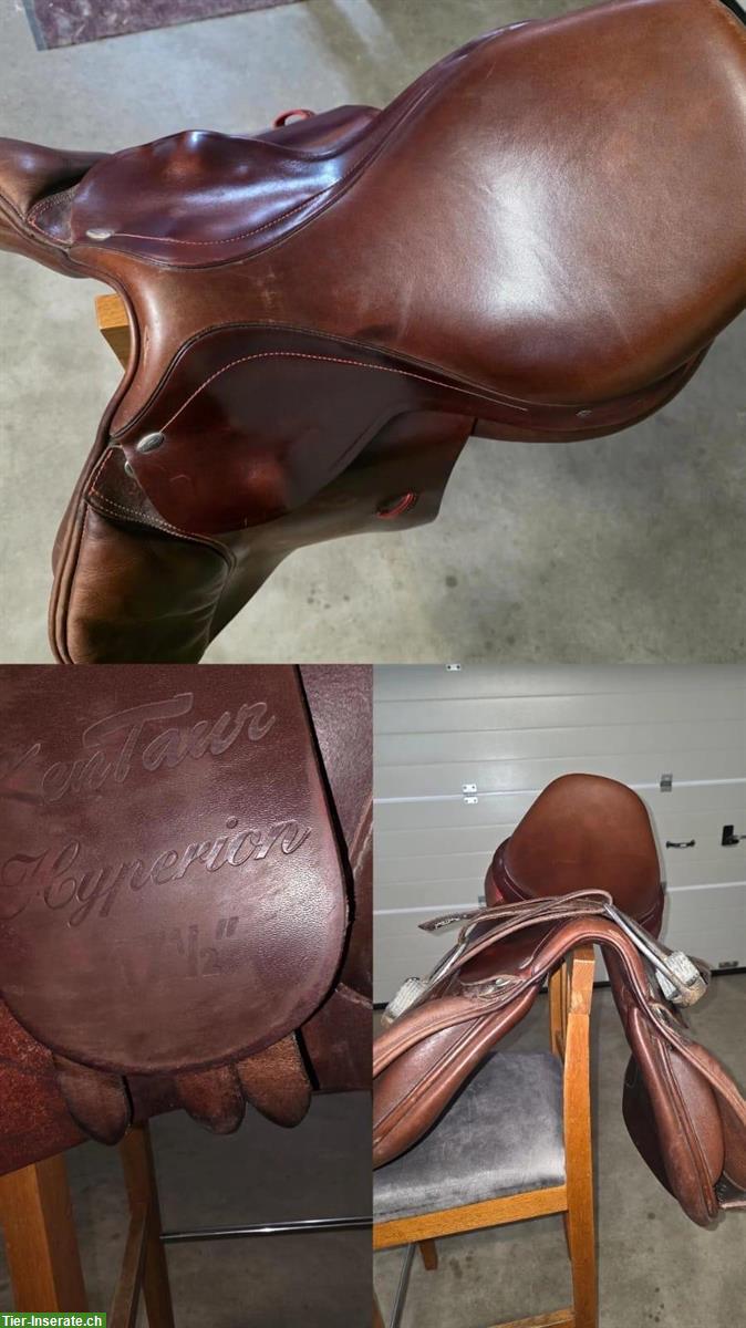 Kentaur Springsattel Hyperion 17.5 Zoll zu verkaufen