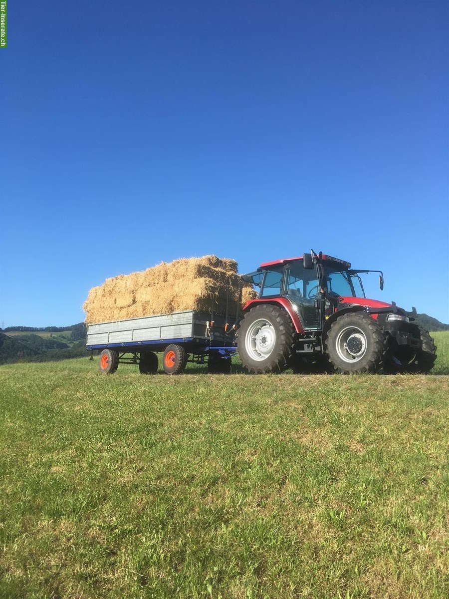 Bild 4: Weizen-Stroh in Kleinballen zu verkaufen