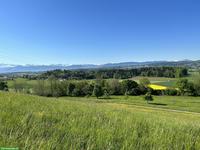 Stundenweise Stallaushilfe gesucht für Pensionsstall im ZH-Oberland