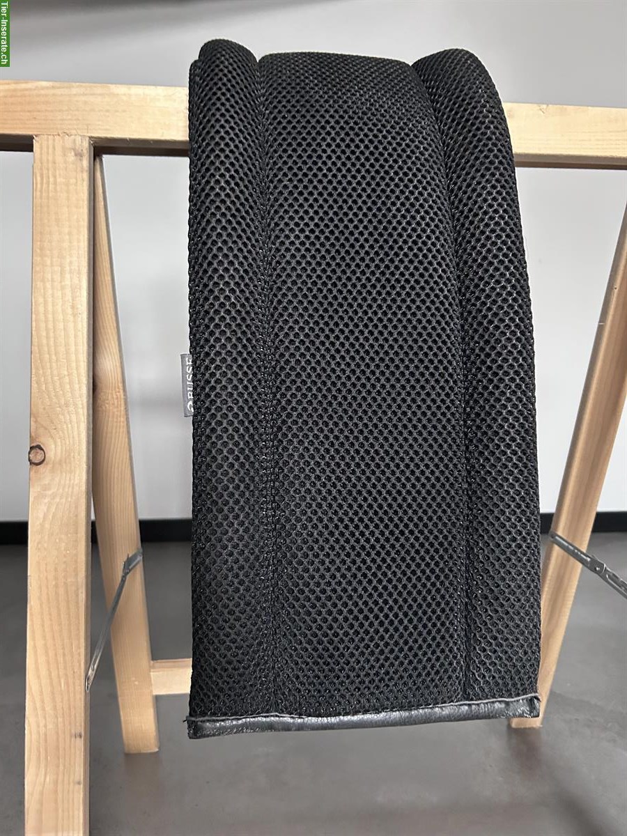 Bild 3: Longiergurt Cob mit Unterlage zu verkaufen