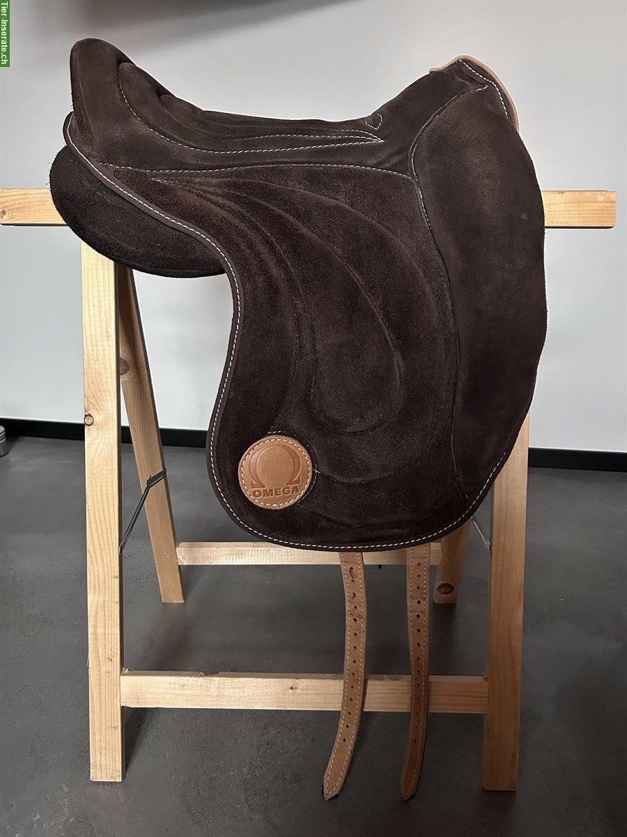 Signum Pad Dressage Gr. M zu verkaufen