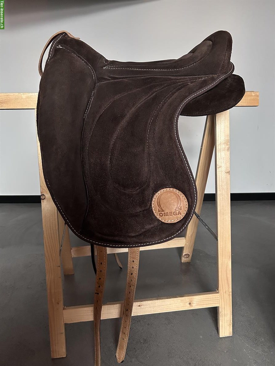 Bild 2: Signum Pad Dressage Gr. M zu verkaufen