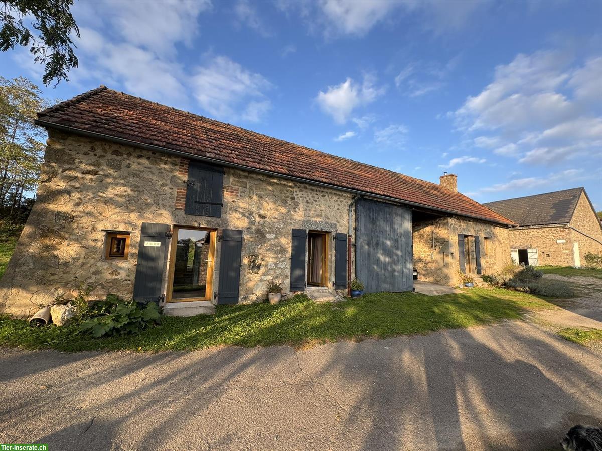 Bild 2: Naturhof in sonniger Alleinlage - Südburgund, Frankreich