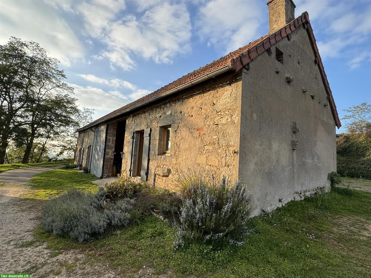 Bild 3: Naturhof in sonniger Alleinlage - Südburgund, Frankreich