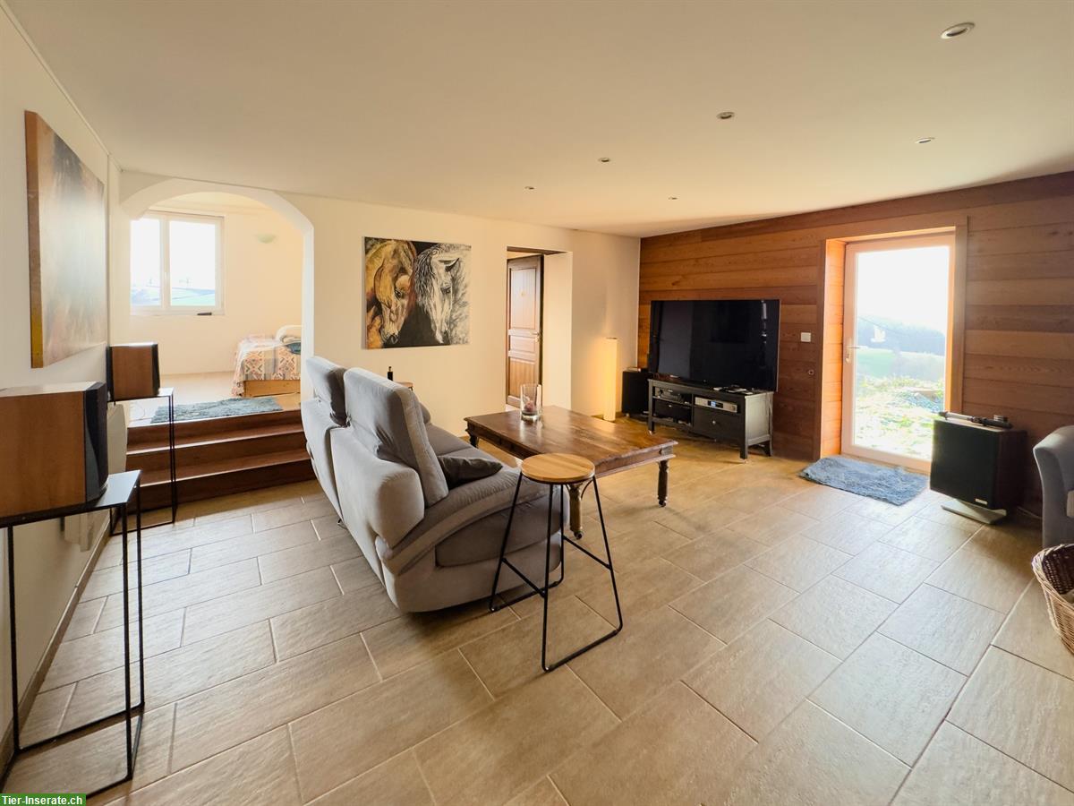 Bild 4: Naturhof in sonniger Alleinlage - Südburgund, Frankreich