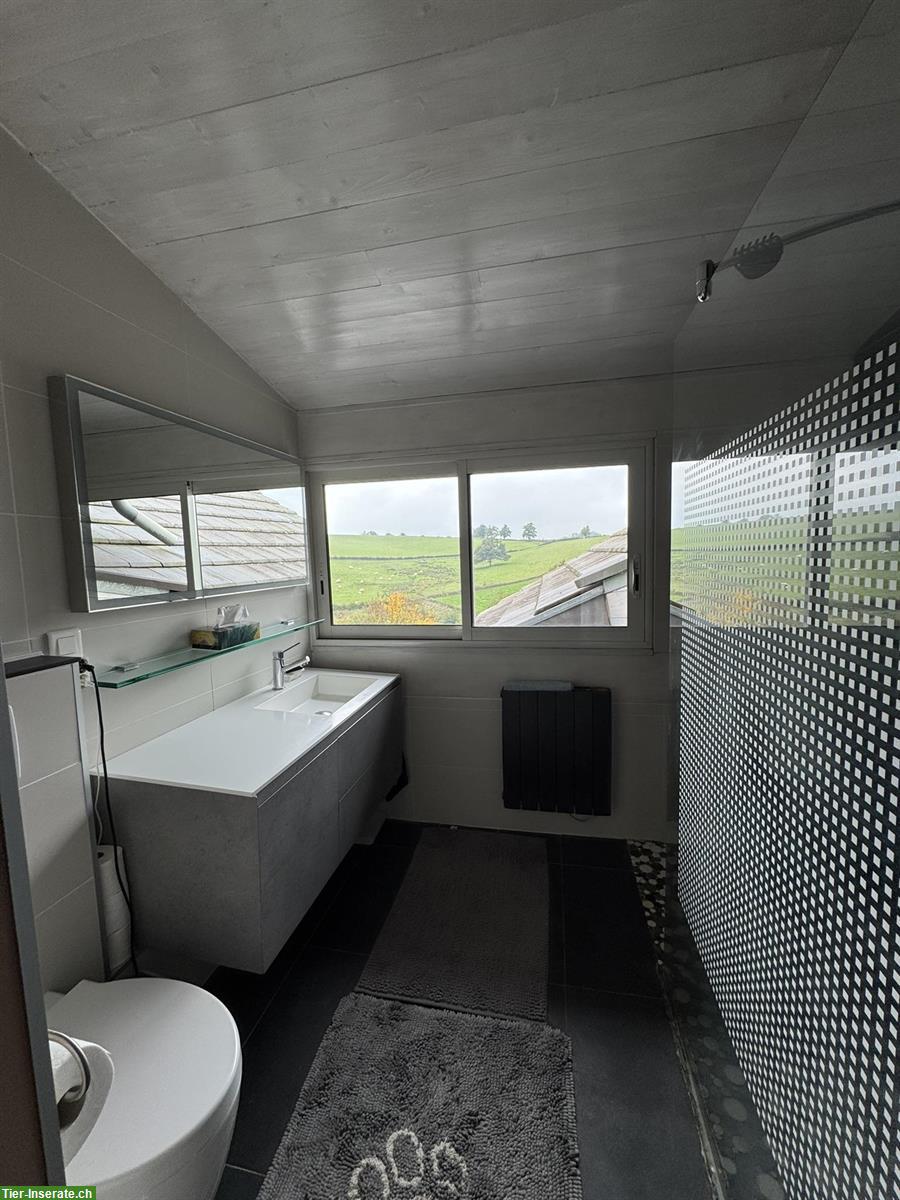 Bild 5: Naturhof in sonniger Alleinlage - Südburgund, Frankreich