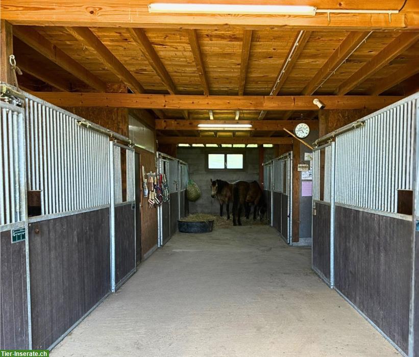 Bild 6: Naturhof in sonniger Alleinlage - Südburgund, Frankreich